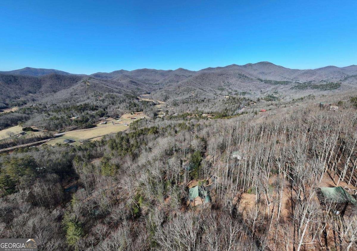 310 Barefoot Hills Road Hiawassee - Photo 33