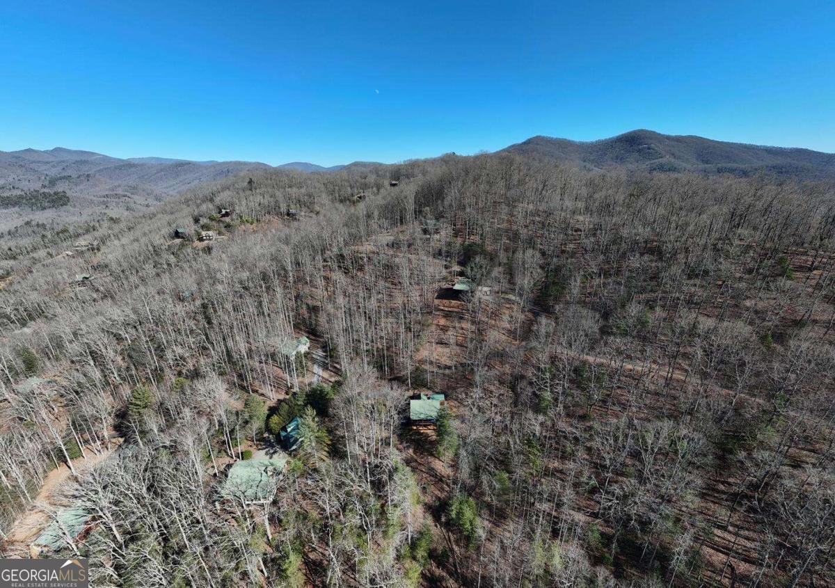 310 Barefoot Hills Road Hiawassee - Photo 34