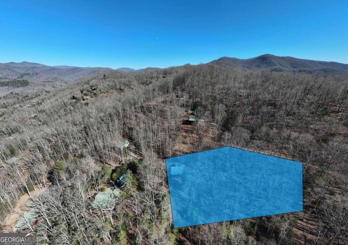 310 Barefoot Hills Road Hiawassee - Photo 35