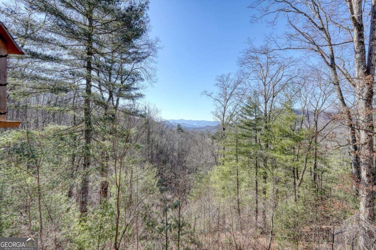 310 Barefoot Hills Road Hiawassee - Photo 39