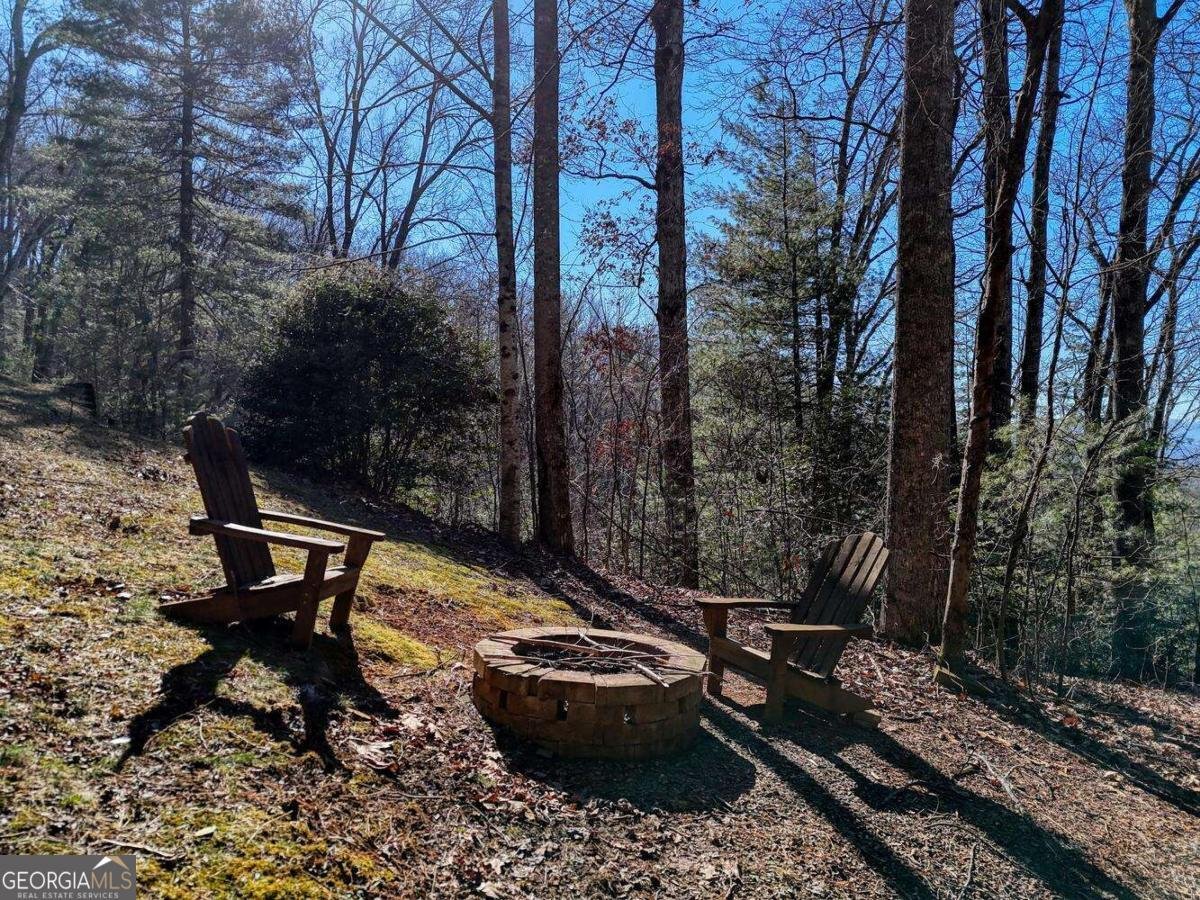 310 Barefoot Hills Road Hiawassee - Photo 44