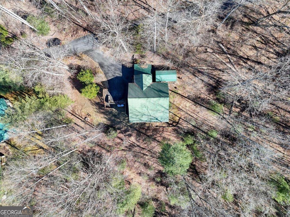 310 Barefoot Hills Road Hiawassee - Photo 48