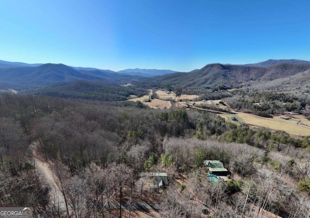 310 Barefoot Hills Road Hiawassee - Photo 49