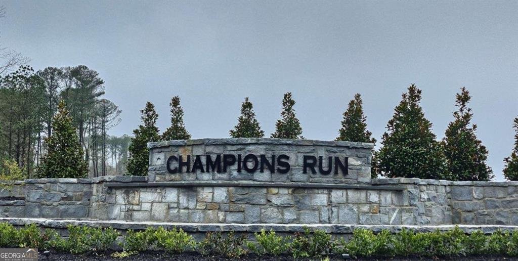 8581 PREAKNESS Pass Lithonia - Photo 52