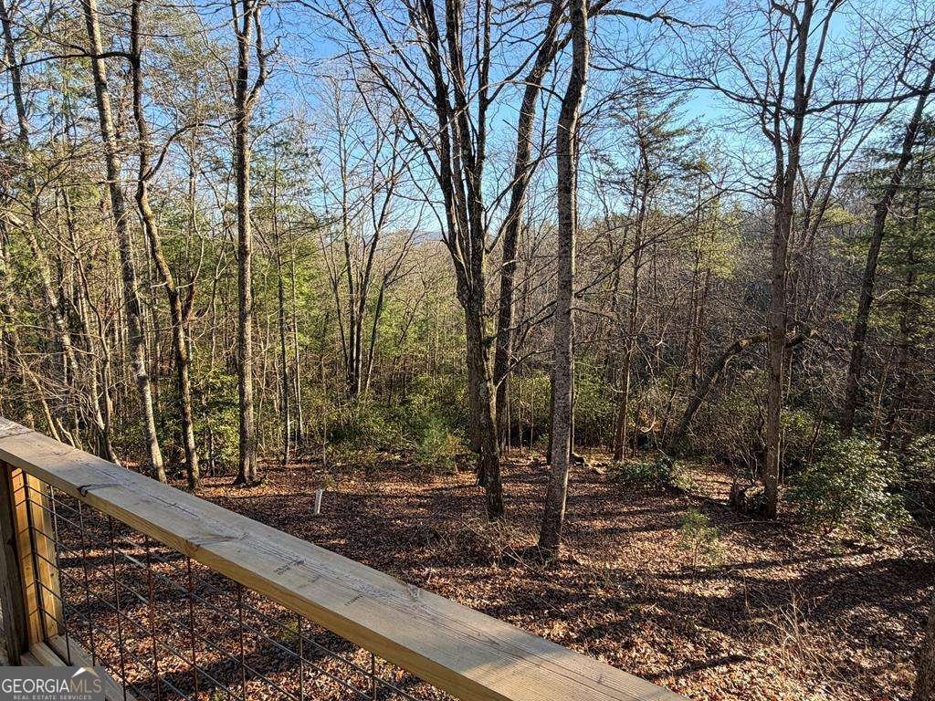 636 Bear Paw Trail Blue Ridge - Photo 37