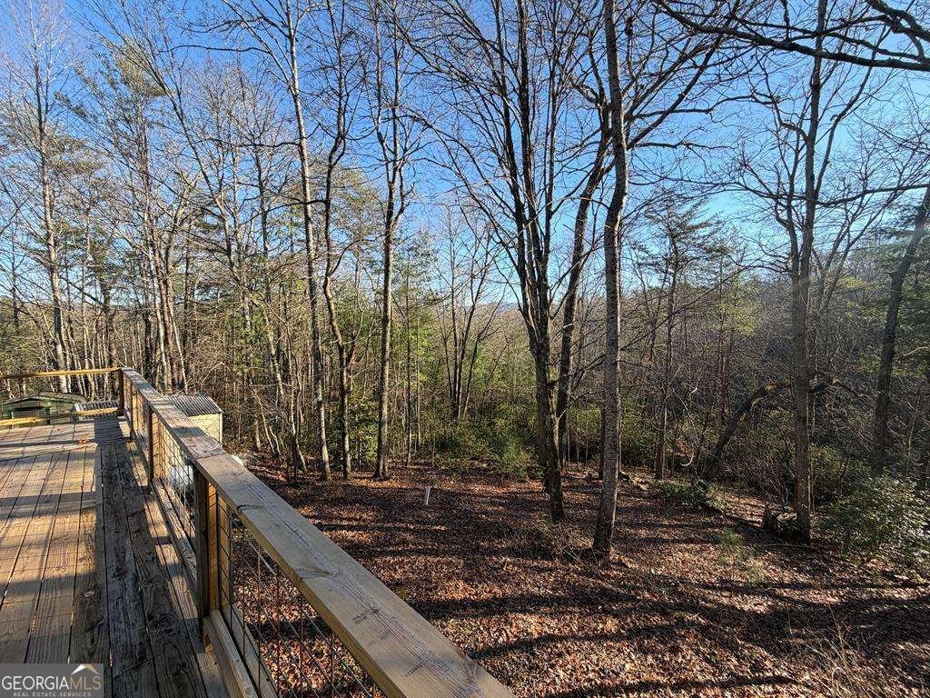 636 Bear Paw Trail Blue Ridge - Photo 38