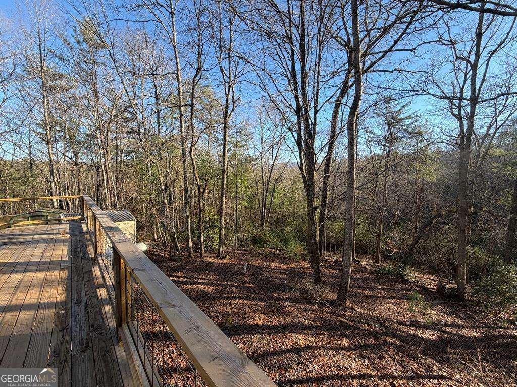 636 Bear Paw Trail Blue Ridge - Photo 39