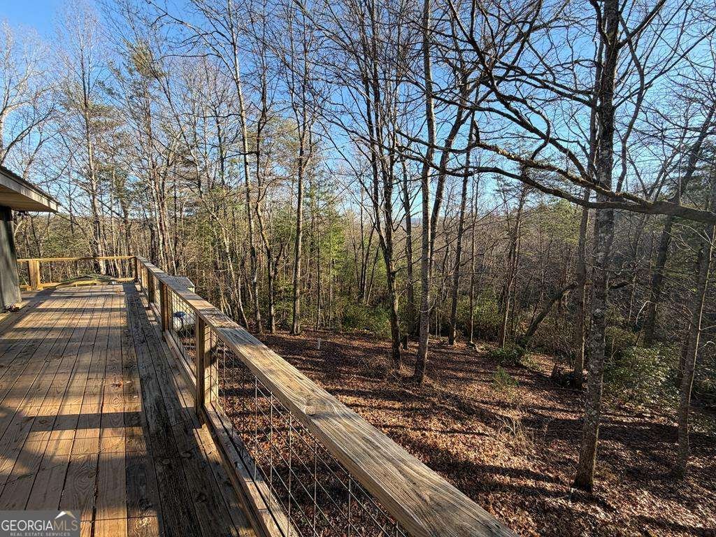 636 Bear Paw Trail Blue Ridge - Photo 40