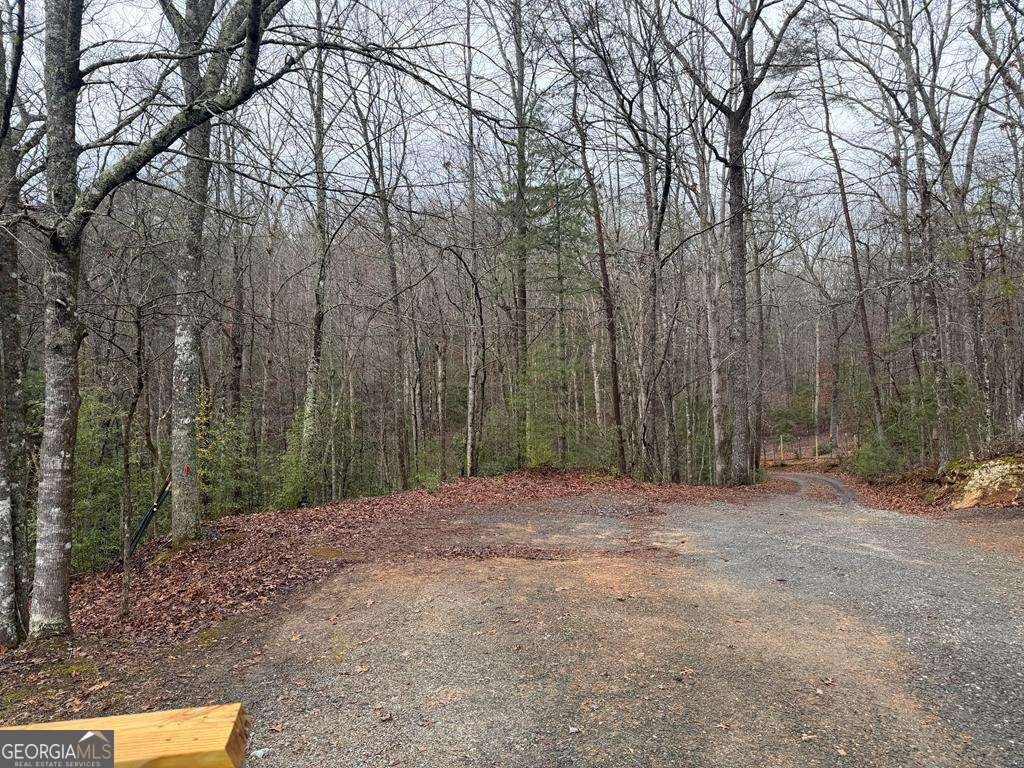 636 Bear Paw Trail Blue Ridge - Photo 45