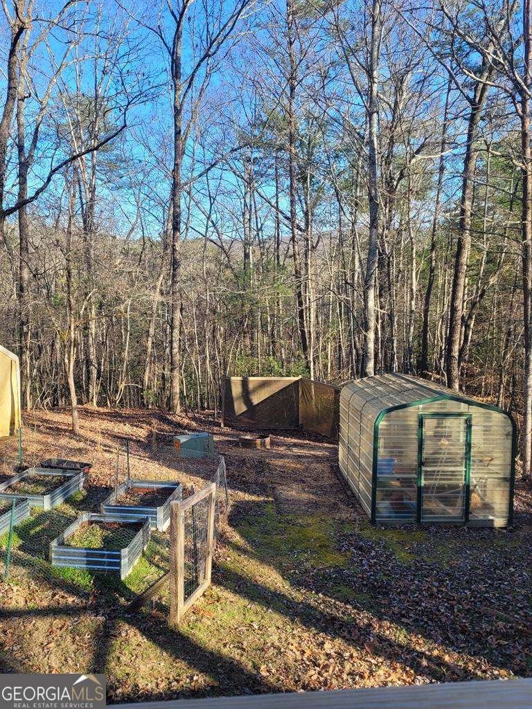 636 Bear Paw Trail Blue Ridge - Photo 59