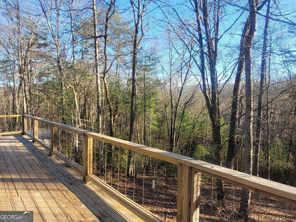 636 Bear Paw Trail Blue Ridge - Photo 60