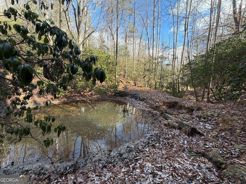 636 Bear Paw Trail Blue Ridge - Photo 62