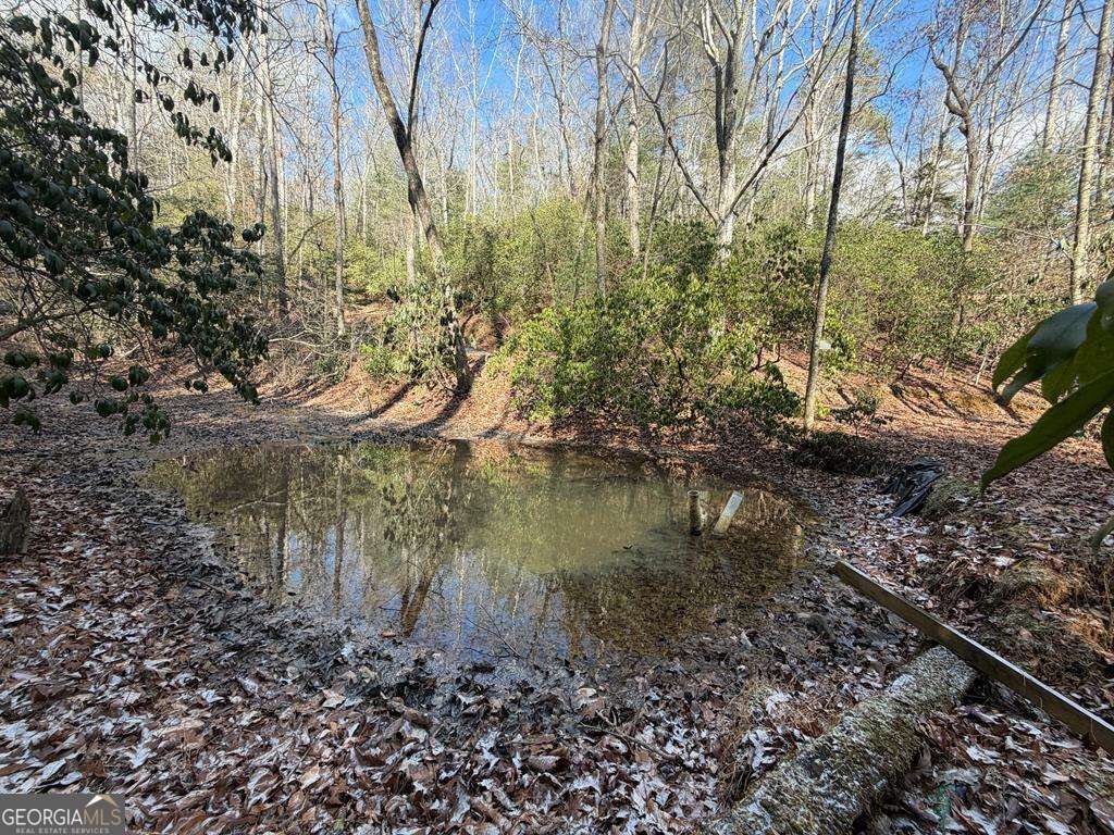 636 Bear Paw Trail Blue Ridge - Photo 63