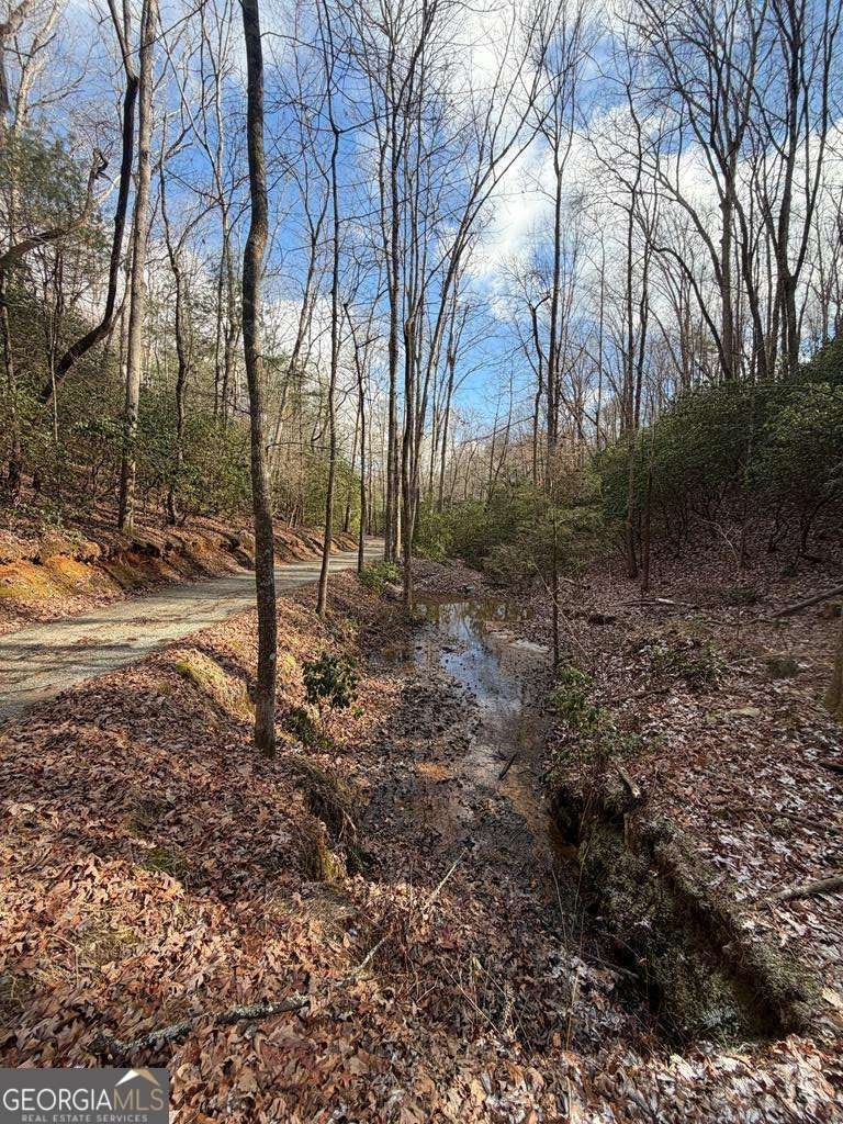 636 Bear Paw Trail Blue Ridge - Photo 64