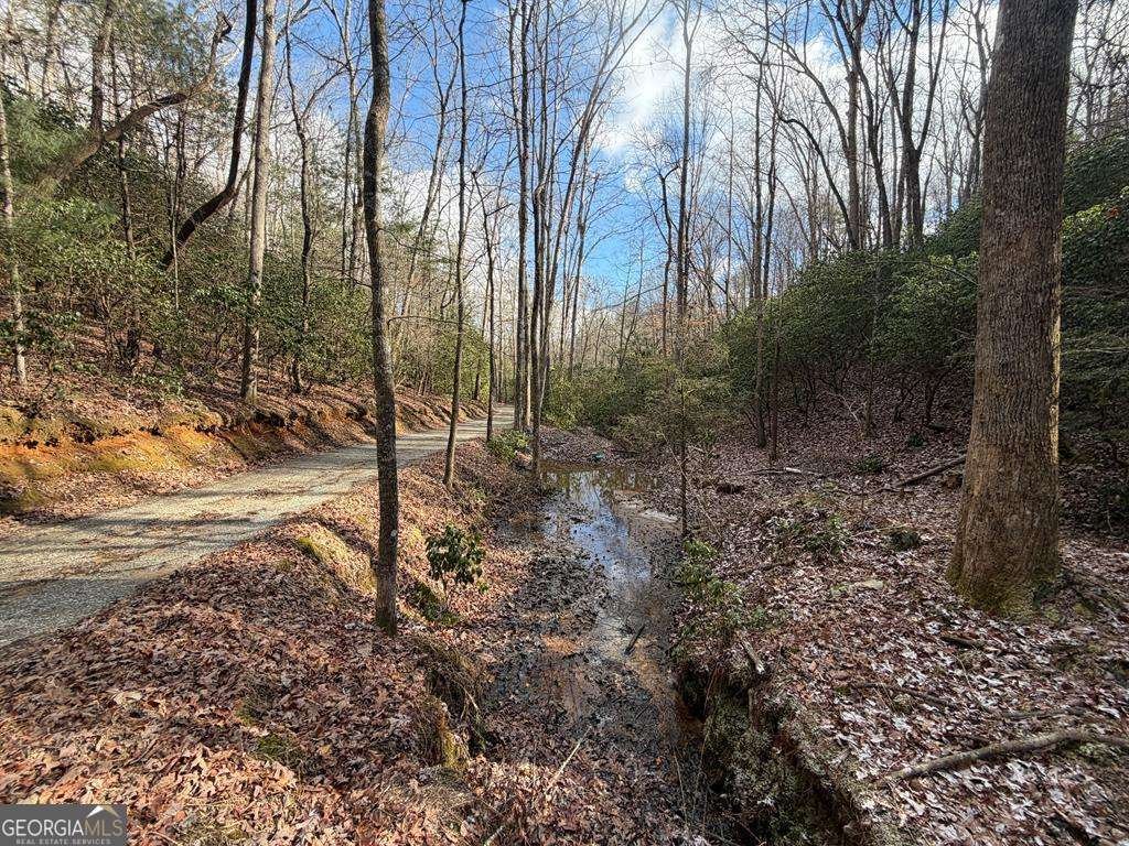 636 Bear Paw Trail Blue Ridge - Photo 65