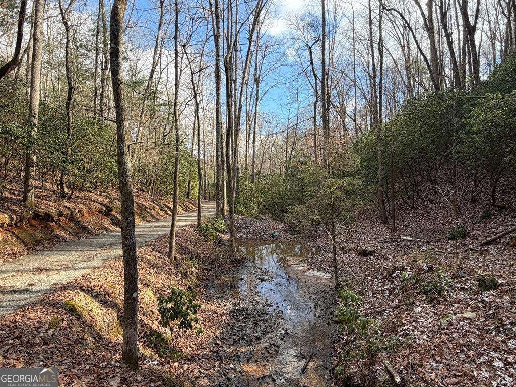 636 Bear Paw Trail Blue Ridge - Photo 66