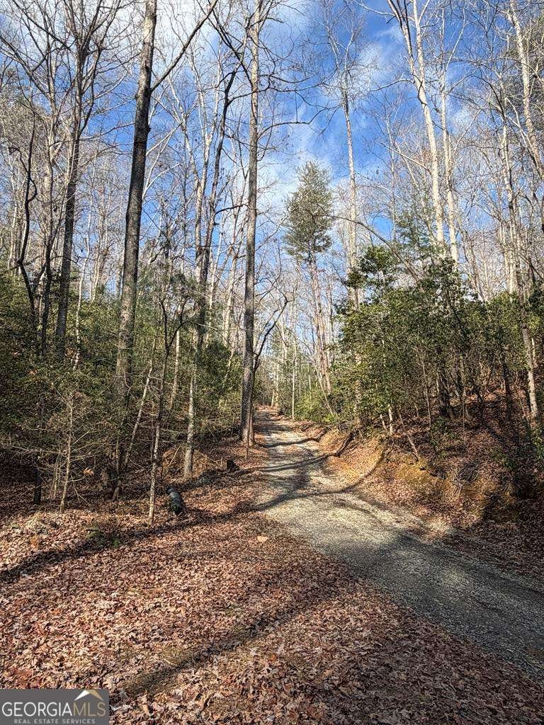 636 Bear Paw Trail Blue Ridge - Photo 67