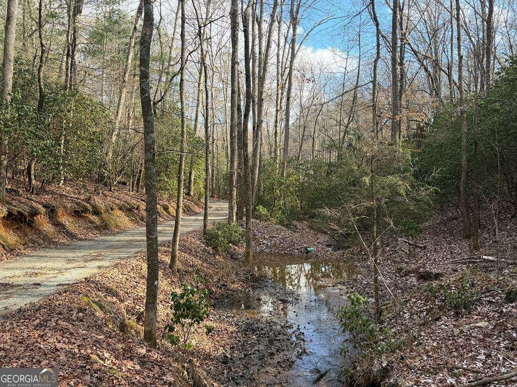 636 Bear Paw Trail Blue Ridge - Photo 68