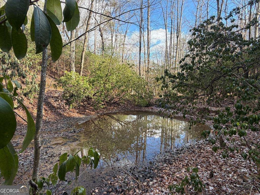 636 Bear Paw Trail Blue Ridge - Photo 69