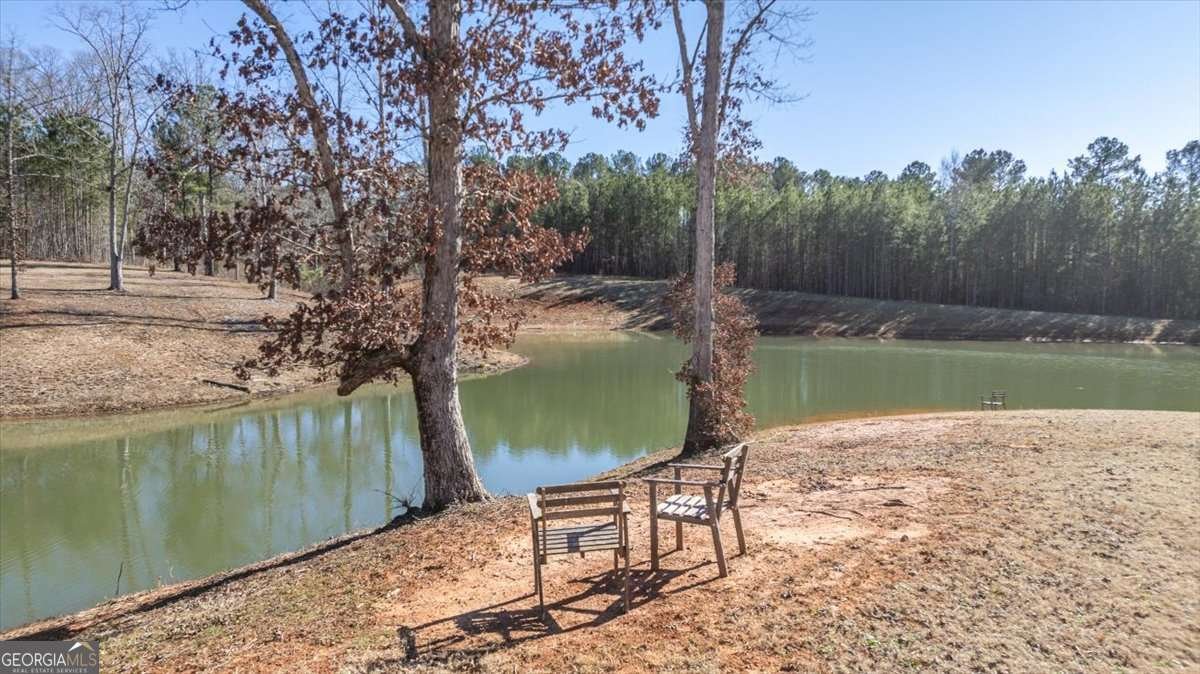 2942 Salem Road Watkinsville - Photo 68