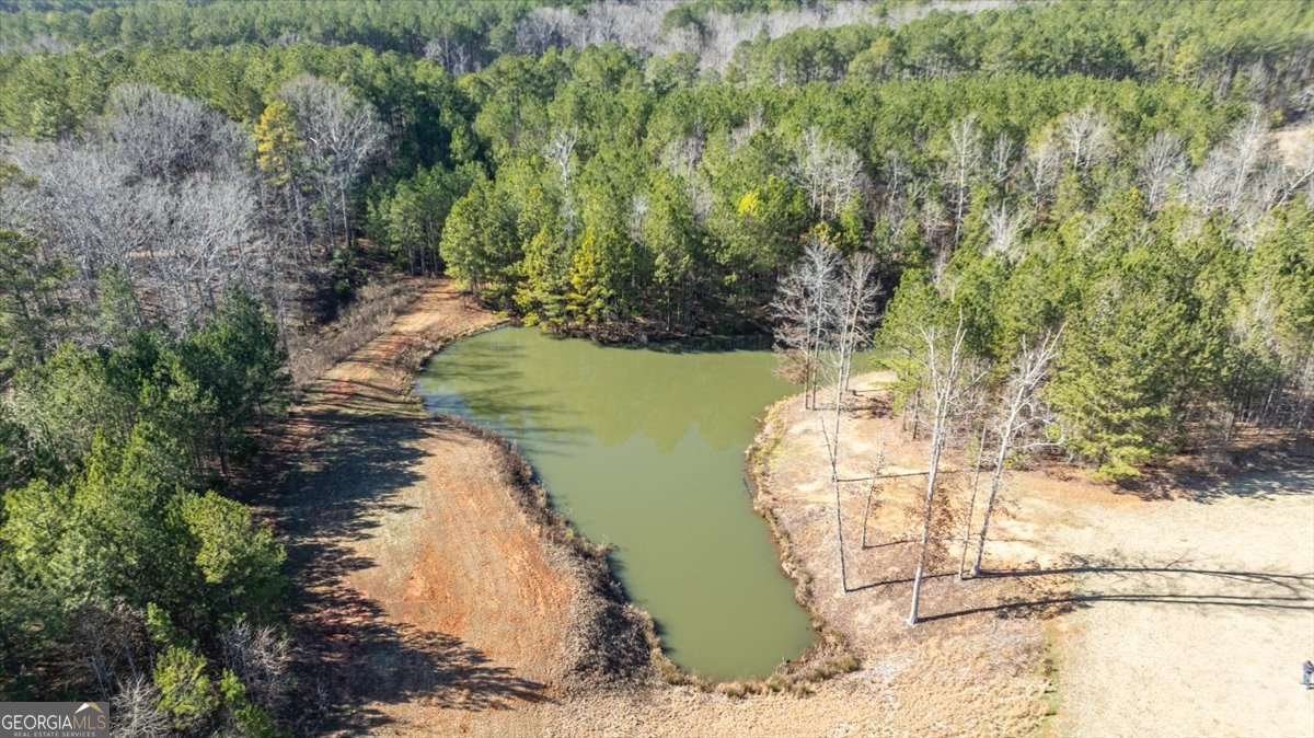 2942 Salem Road Watkinsville - Photo 69