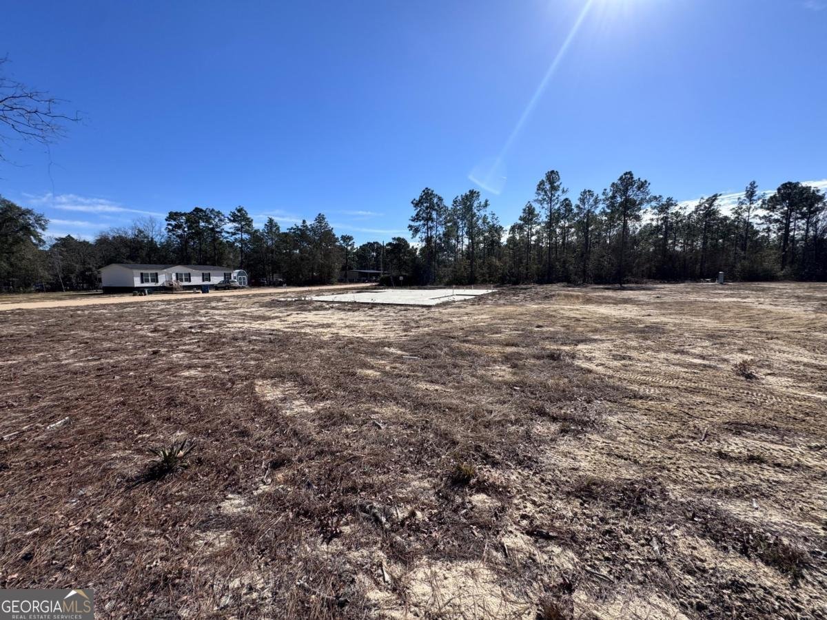 344 Jekyll Island Road Jesup - Photo 7