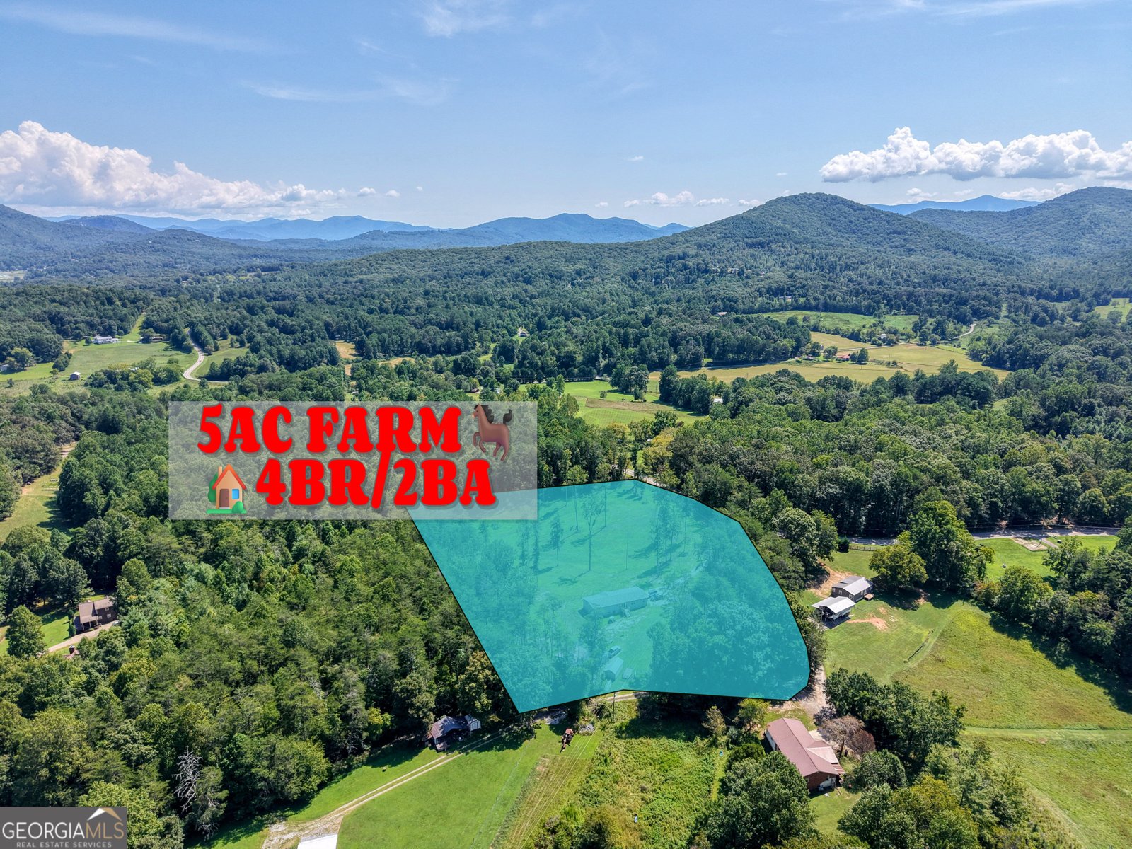 9656 Phillips Road Young Harris - Photo 1