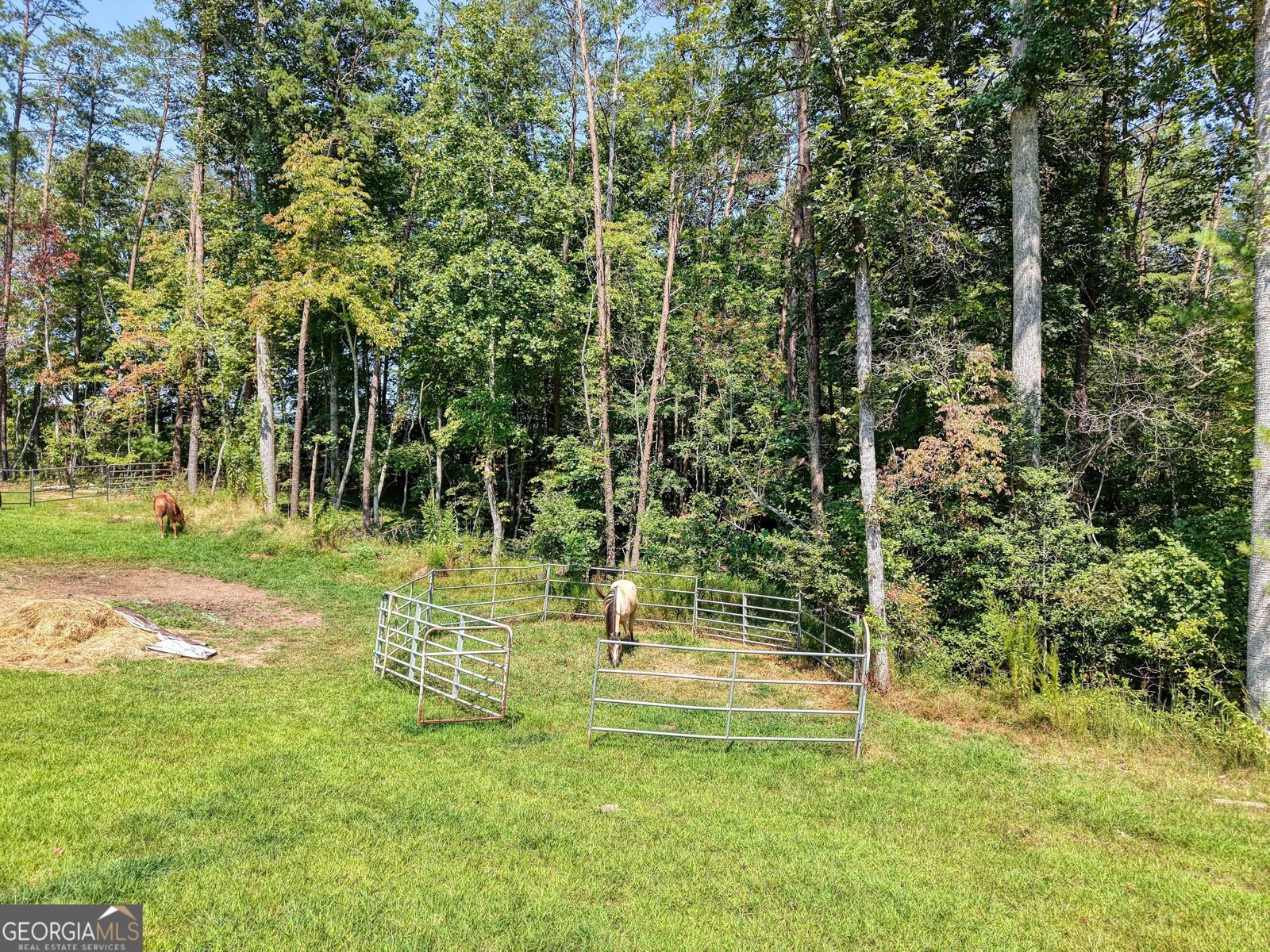 9656 Phillips Road Young Harris - Photo 41