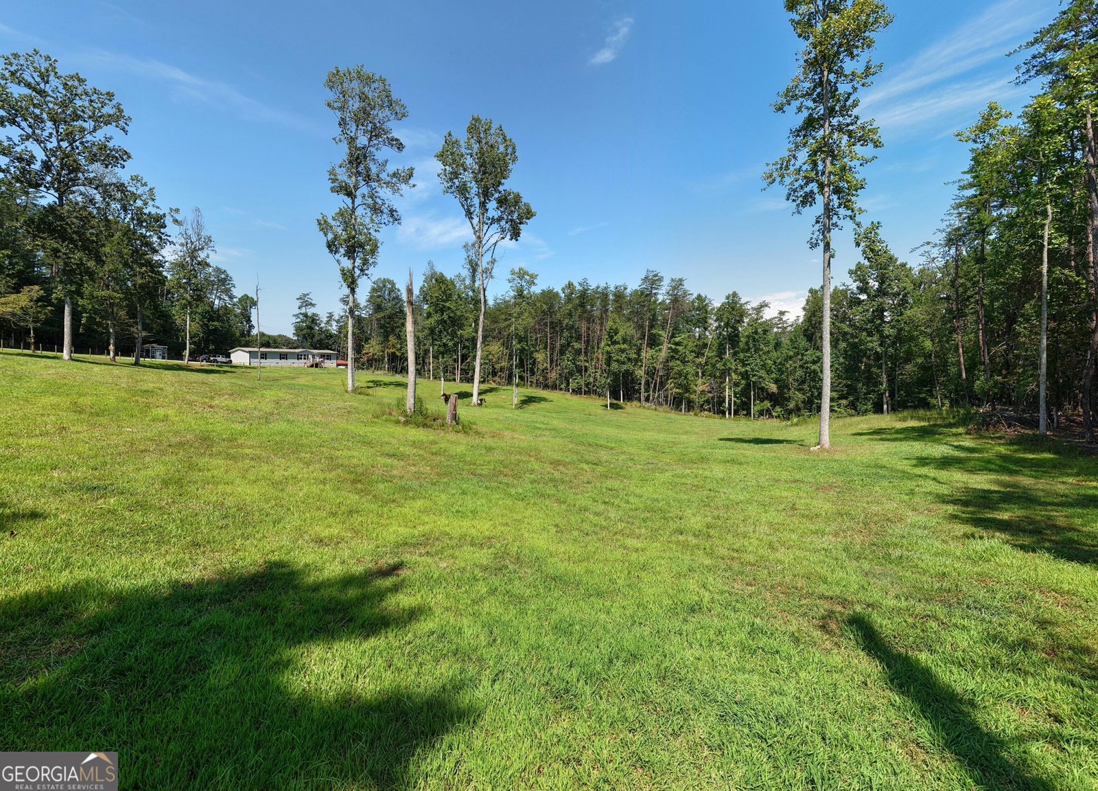 9656 Phillips Road Young Harris - Photo 49