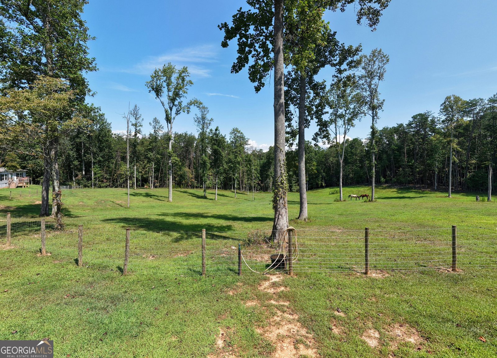 9656 Phillips Road Young Harris - Photo 50