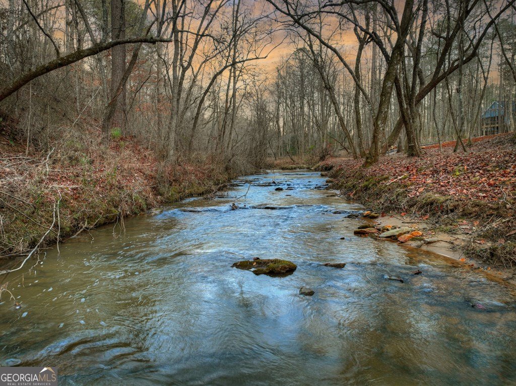 158 Tree Line Lane Ellijay - Photo 29