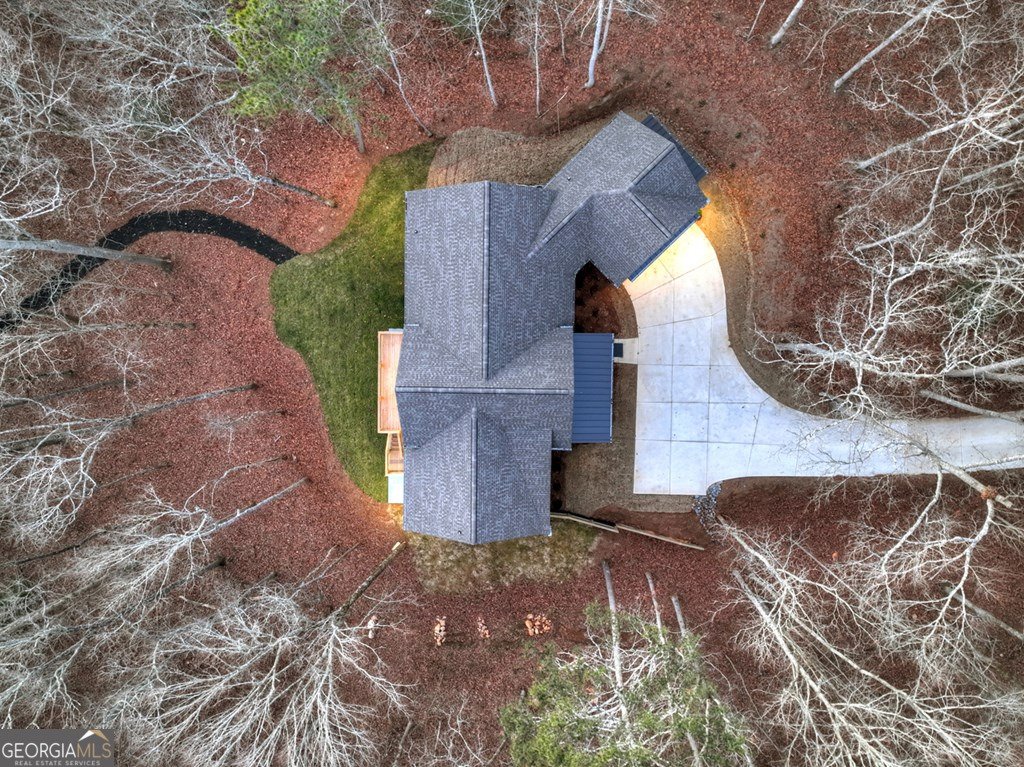 158 Tree Line Lane Ellijay - Photo 50