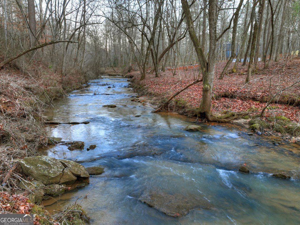 158 Tree Line Lane Ellijay - Photo 52