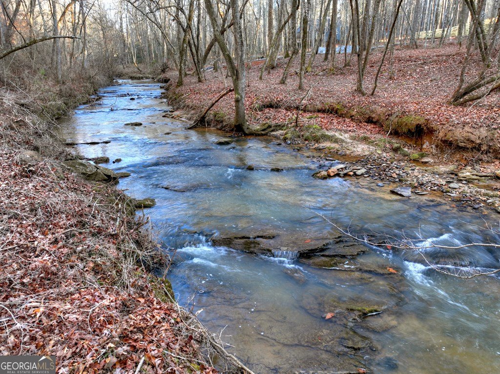 158 Tree Line Lane Ellijay - Photo 58