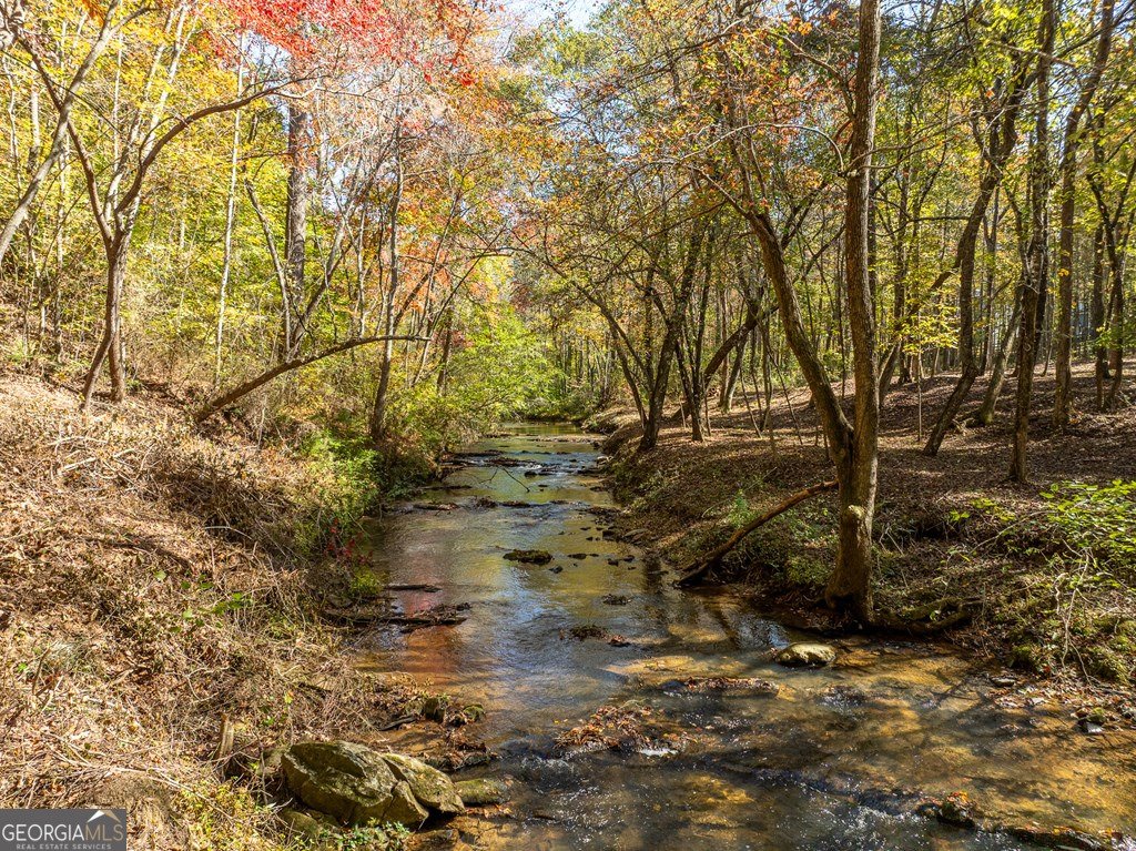 158 Tree Line Lane Ellijay - Photo 7