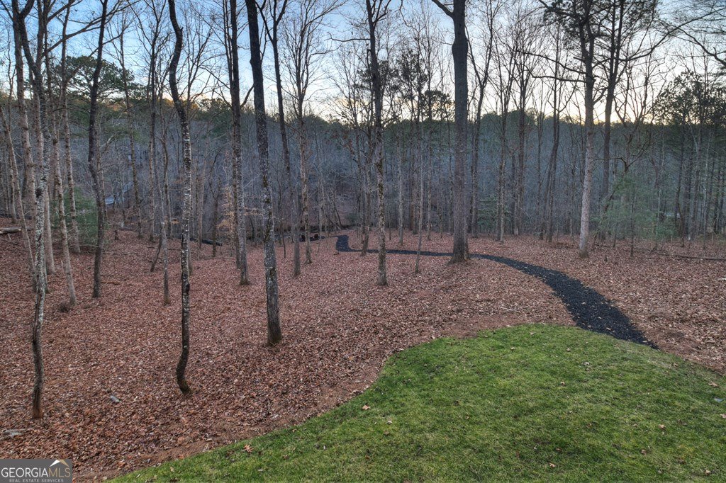 158 Tree Line Lane Ellijay - Photo 8