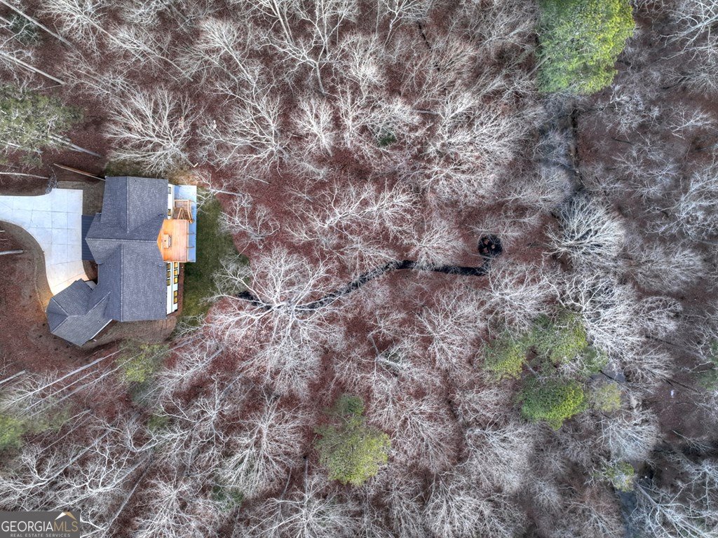 158 Tree Line Lane Ellijay - Photo 80