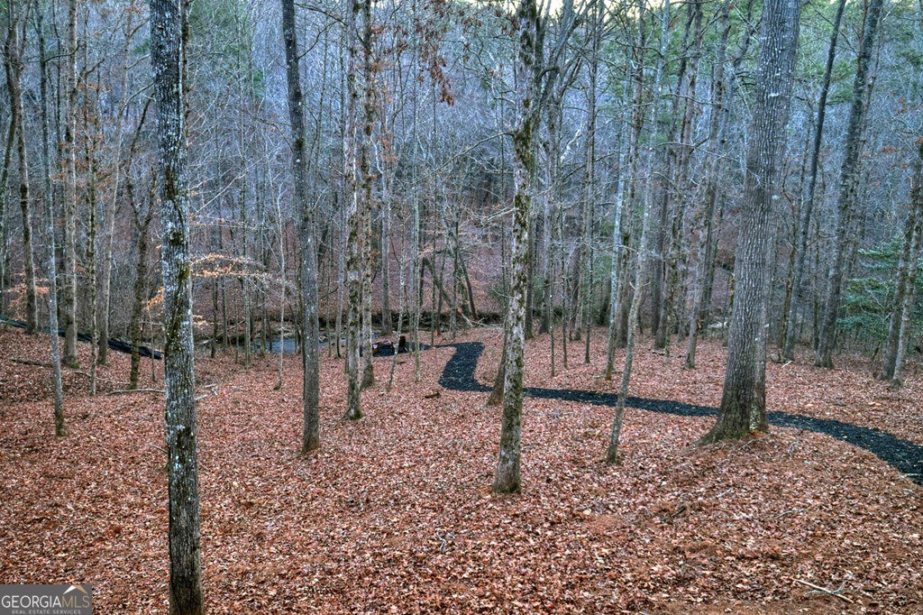 158 Tree Line Lane Ellijay - Photo 82