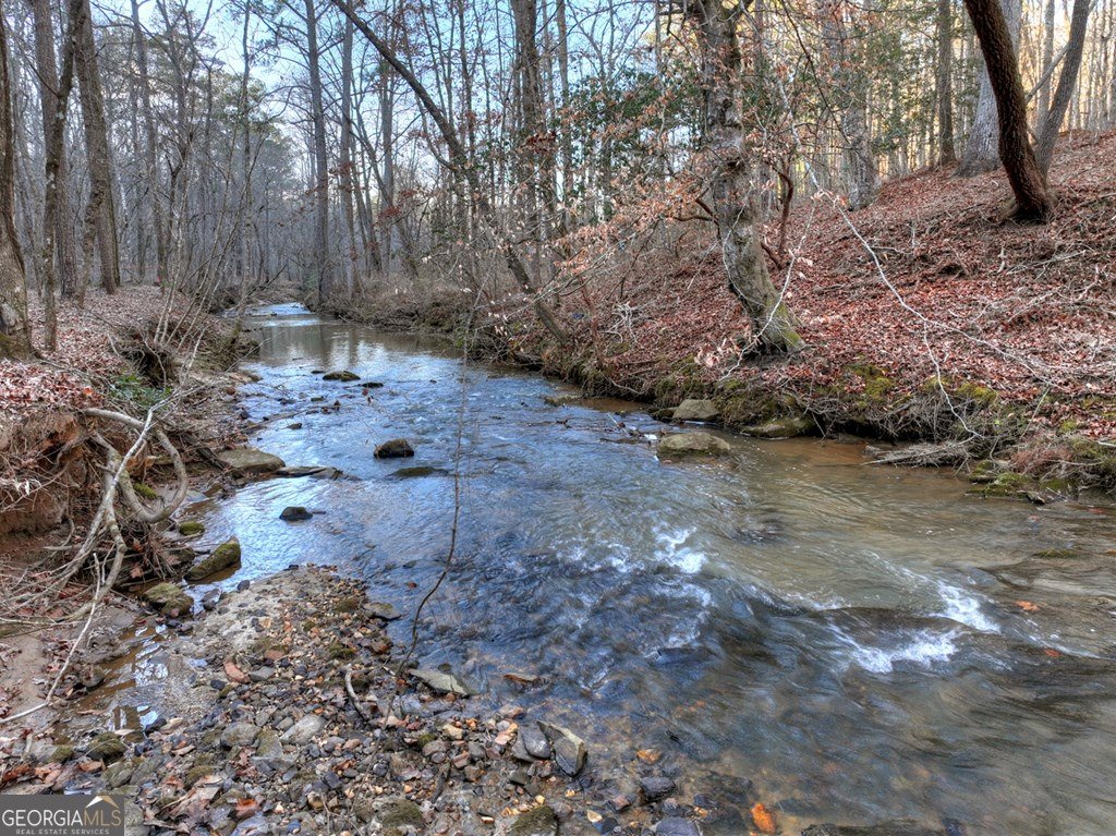 158 Tree Line Lane Ellijay - Photo 94