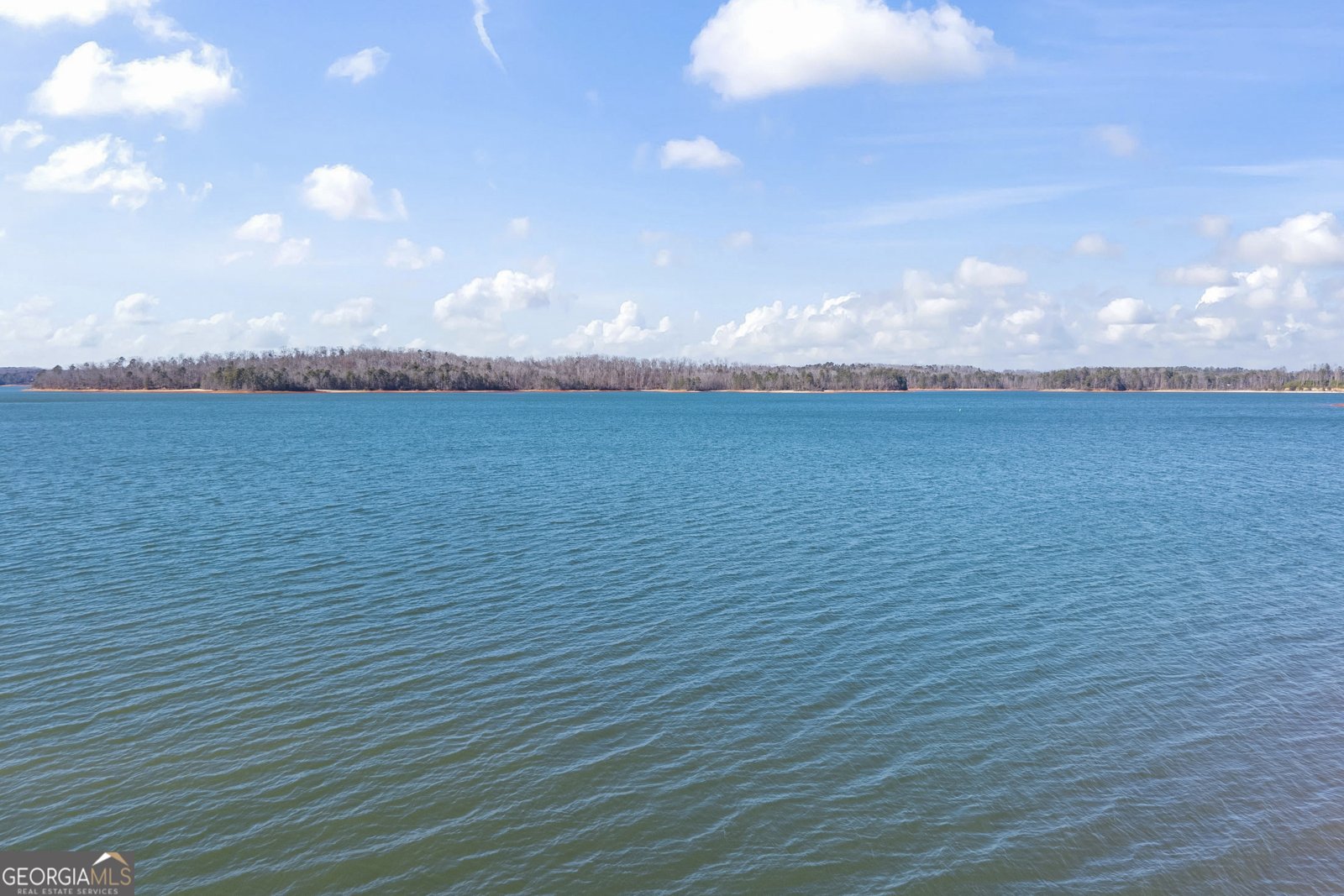 234 Chandlers Ferry Drive Hartwell - Photo 82