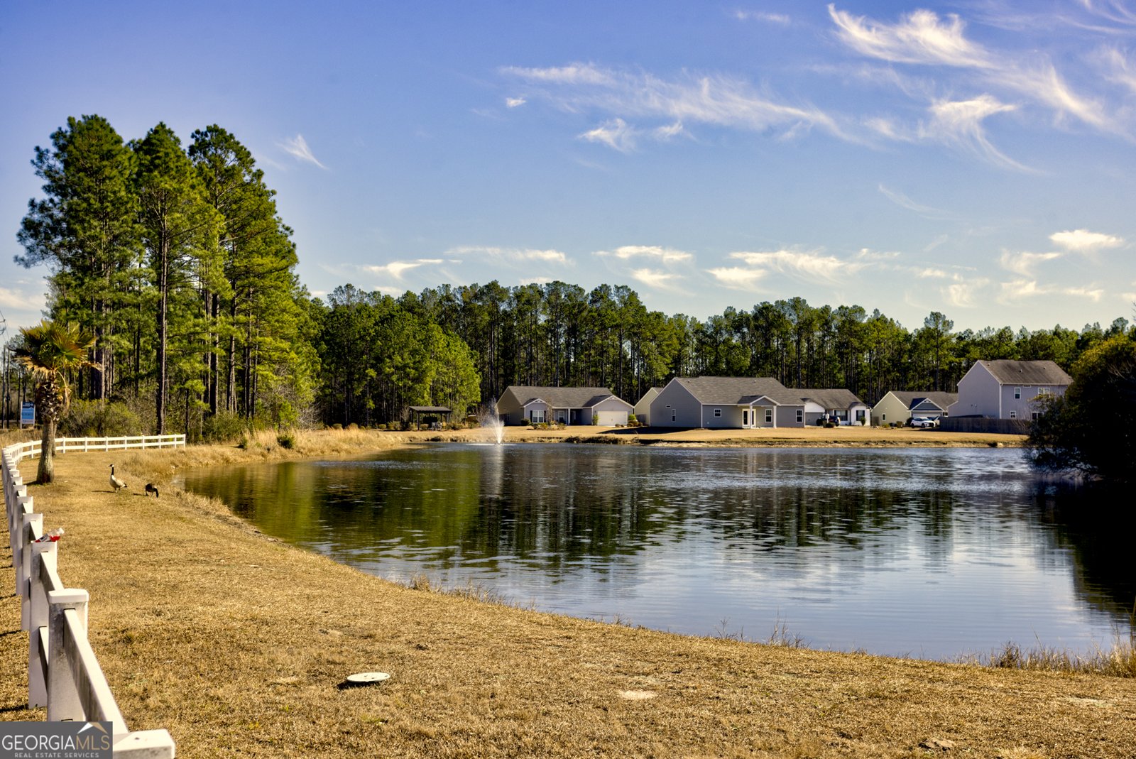 142 Willow Drive Guyton - Photo 19