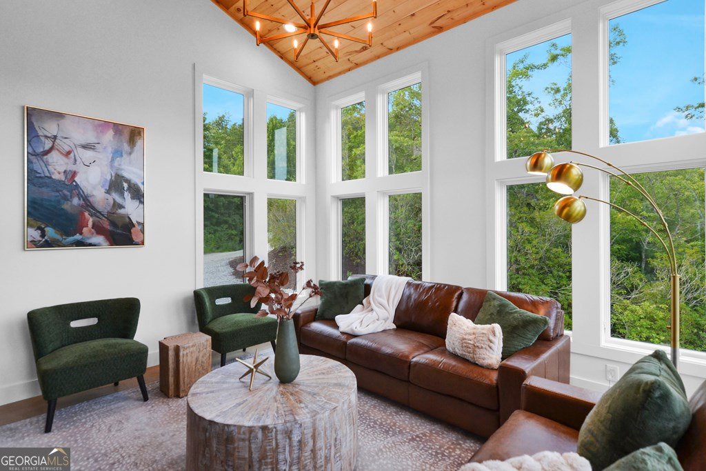 45 Eagle Watch Court Blue Ridge - Photo 10