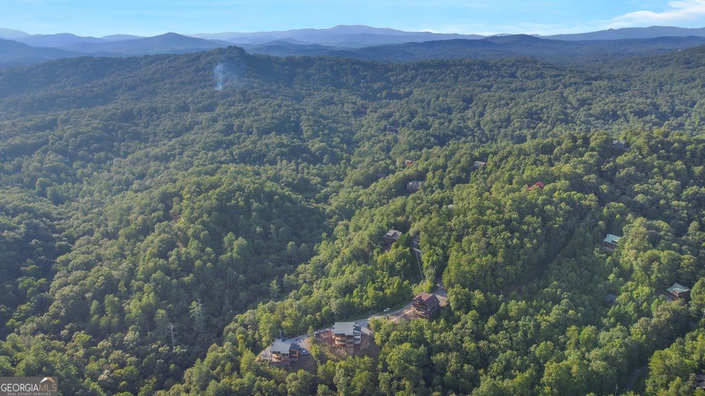 45 Eagle Watch Court Blue Ridge - Photo 52