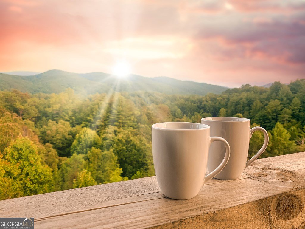 45 Eagle Watch Court Blue Ridge - Photo 54