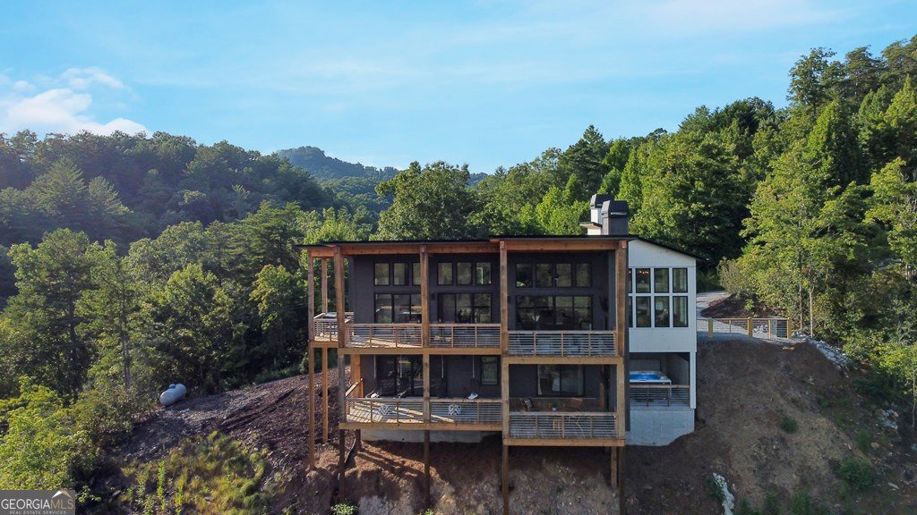 45 Eagle Watch Court Blue Ridge - Photo 9