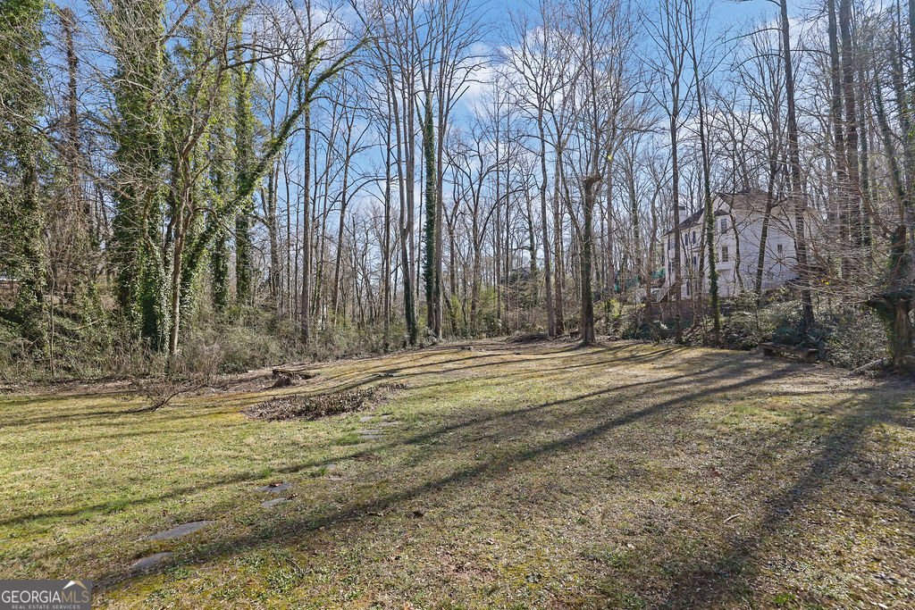 300 Farm Track Roswell - Photo 45