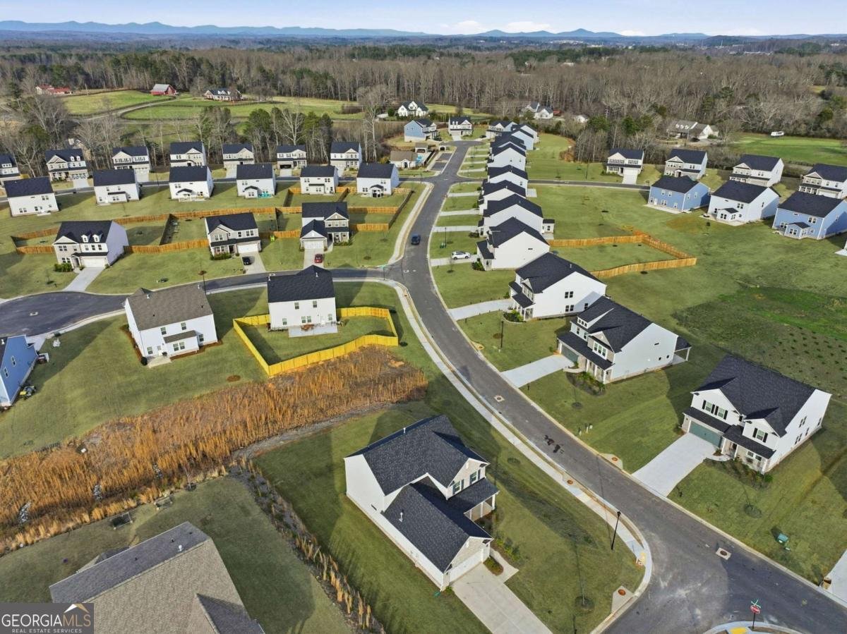 7410 Barclay Court Dawsonville - Photo 37