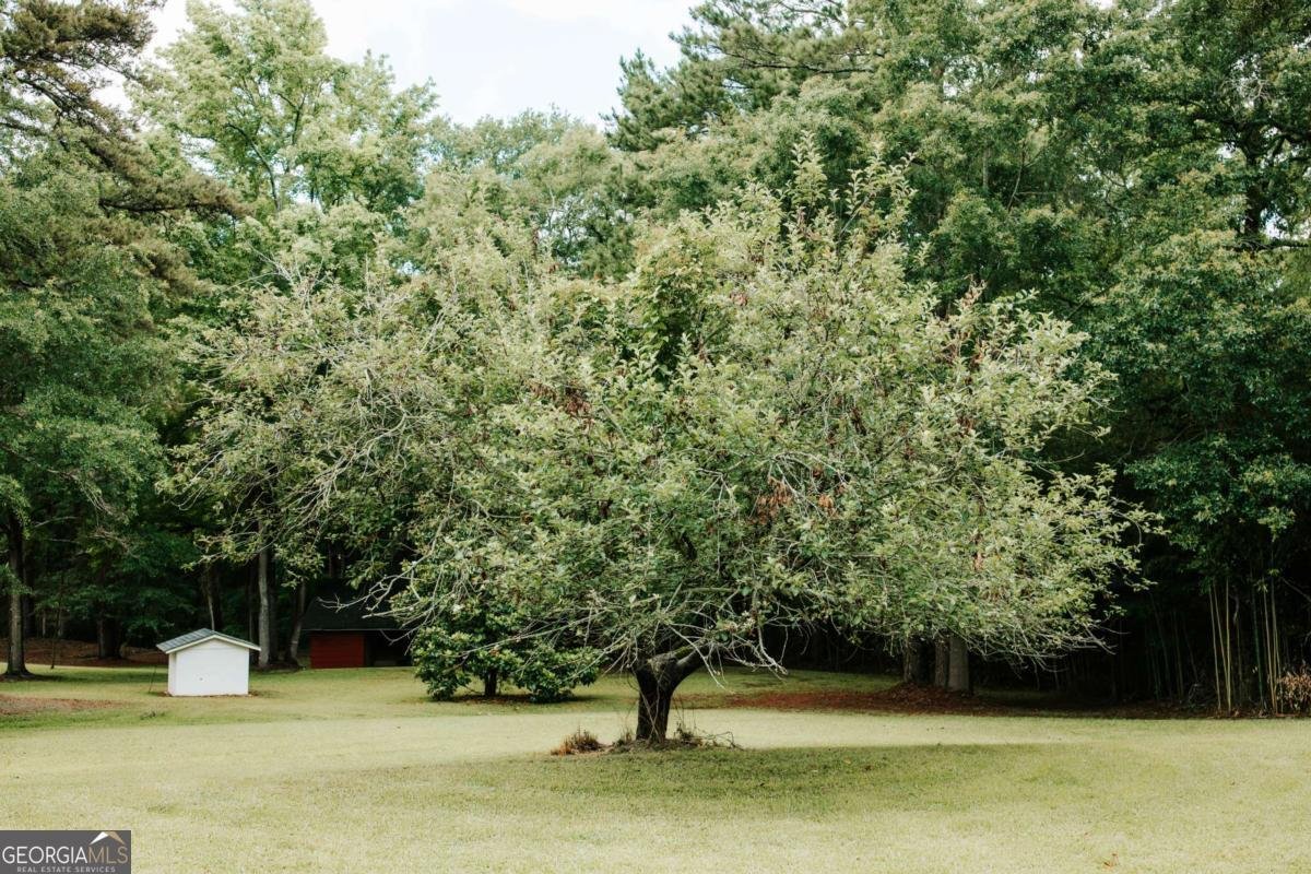 764 Sandy Cross Road Lexington - Photo 49