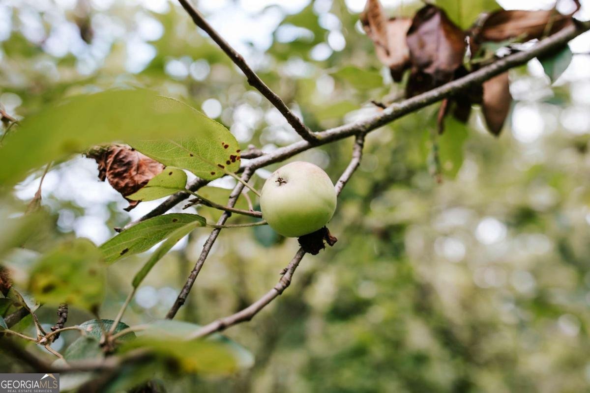 764 Sandy Cross Road Lexington - Photo 50