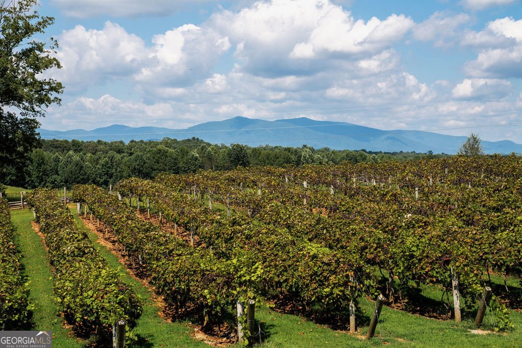 1722 High Summit Drive Talking Rock - Photo 81